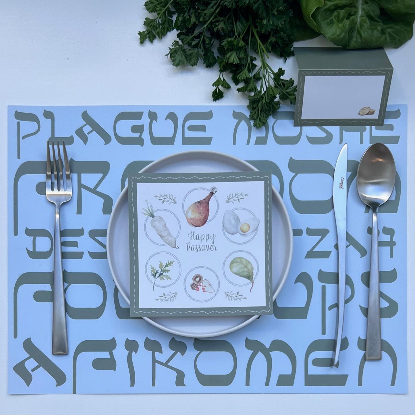 Freedom Passover Placemat (12 pack)