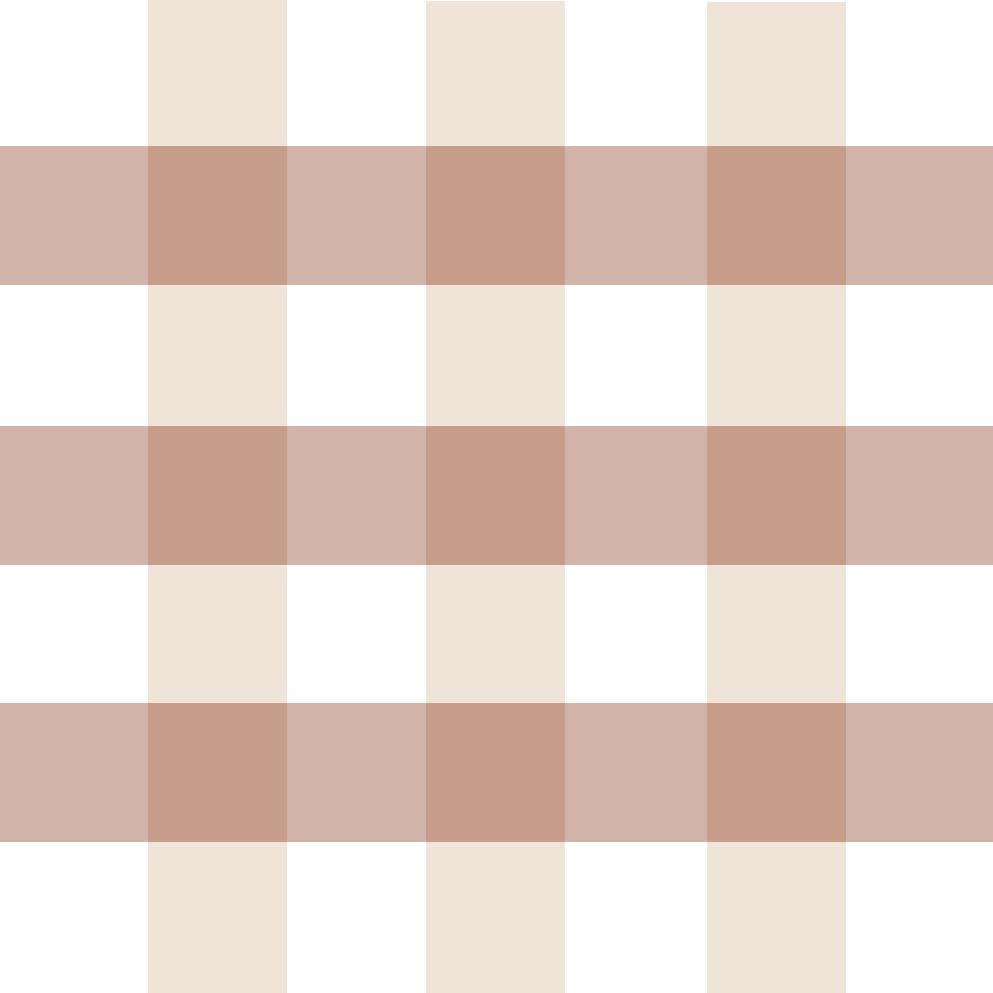 Gingham Cinnamon Paper Coaster (10 pack)