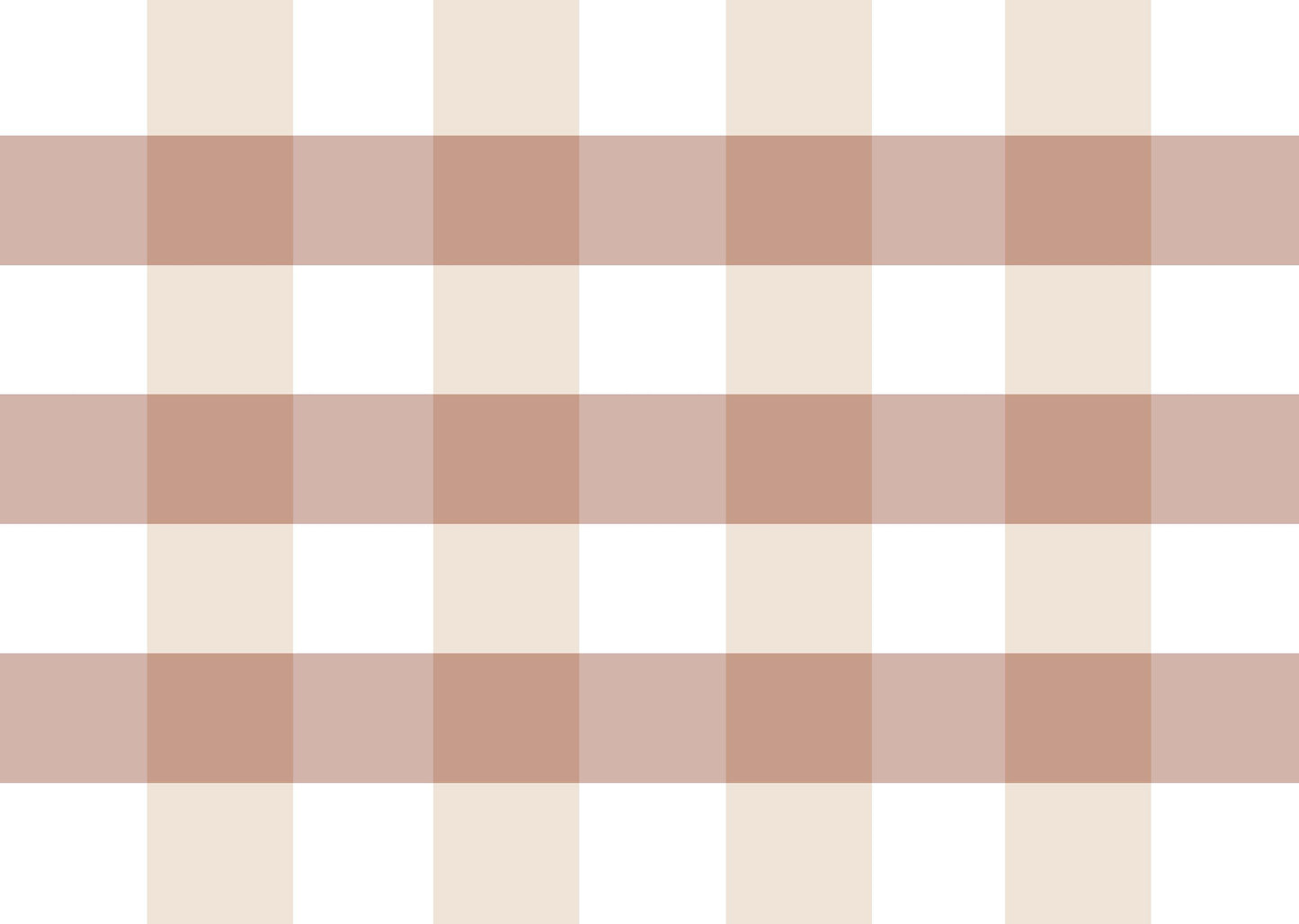 Gingham Cinnamon Paper Placemat (10 pack)